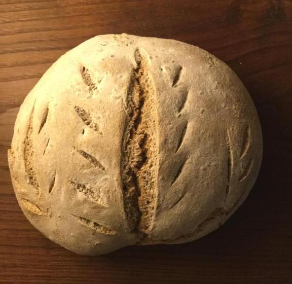 غرفة قياسية مزوَّدة بتراس, Azienda Agricola Il Querceto