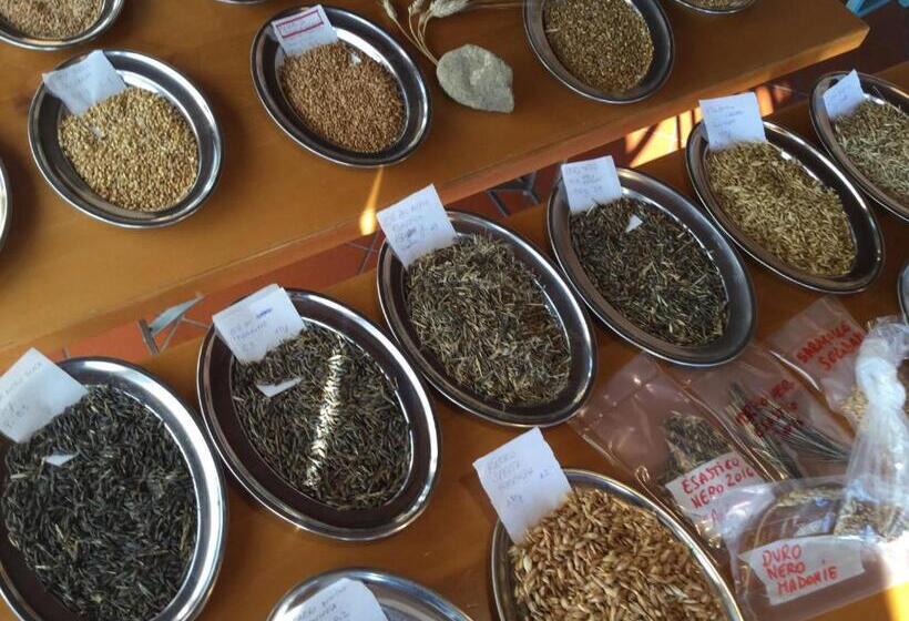 غرفة قياسية مزوَّدة بتراس, Azienda Agricola Il Querceto