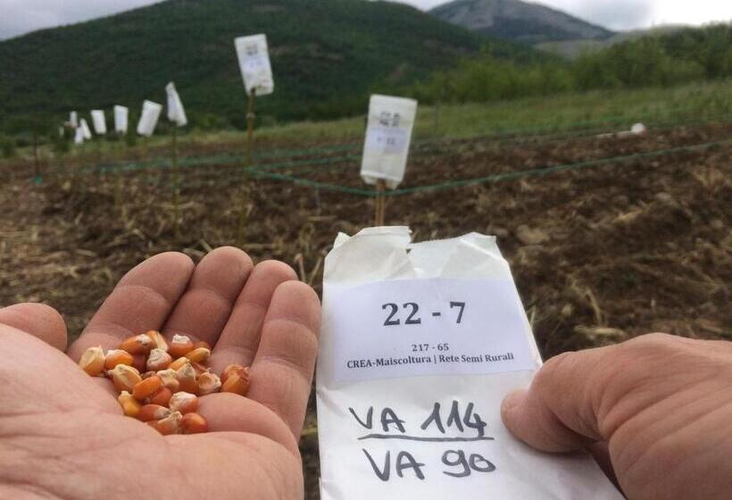 Номер Стандарт Трехместный, Azienda Agricola Il Querceto