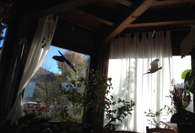 جناح جونيور, Azienda Agricola Il Querceto