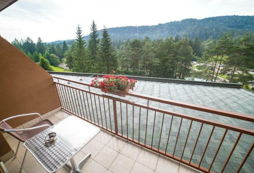 اتاق استاندارد, Rakitna