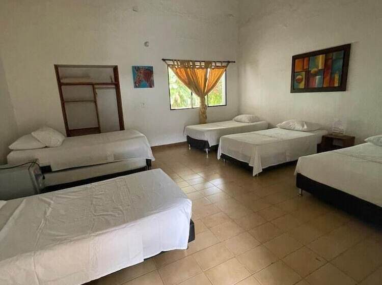 Семейный Номер, Real Dinastía