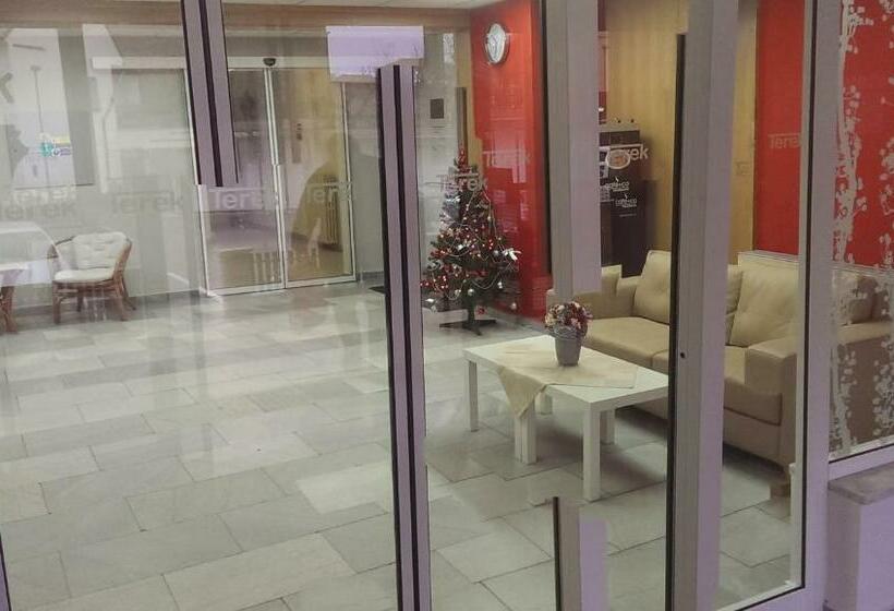 חדר סטנדרט יחיד, Terek