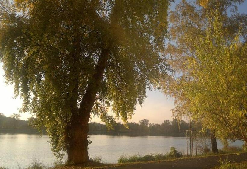 דירת חדר, Terek