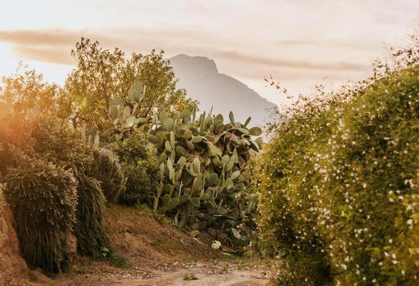 חדר סטנדרט נוף לגינה, Terre Di Himera