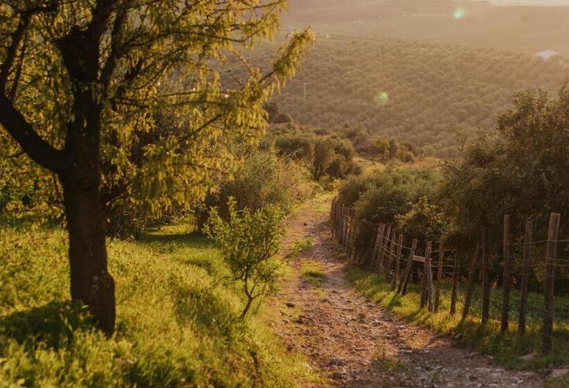 חדר סטנדרט נוף לגינה, Terre Di Himera