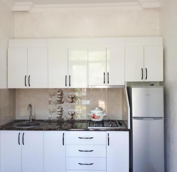 اتاق راحتی سه تخته, Apartment Maxinjauri