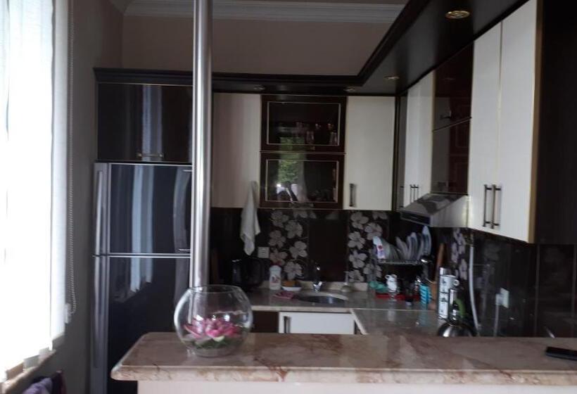 سوئیت 2 خوابه, Apartment Maxinjauri
