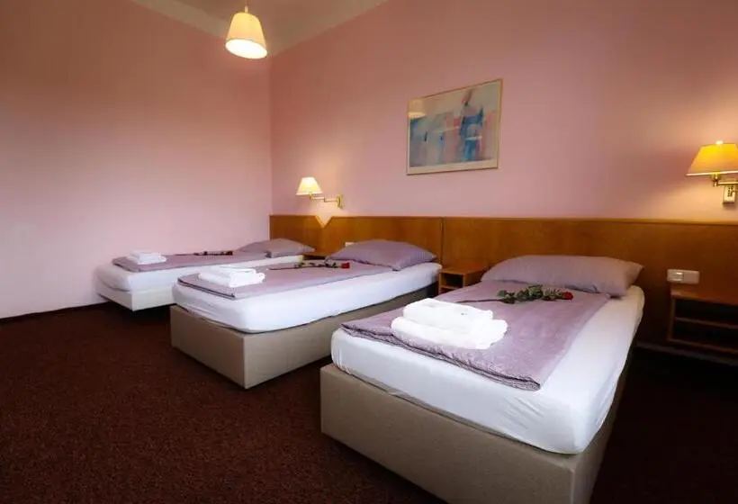 Standard Kolmen Hengen Huone, Wellness Penzion Kroměříž   Zlobice