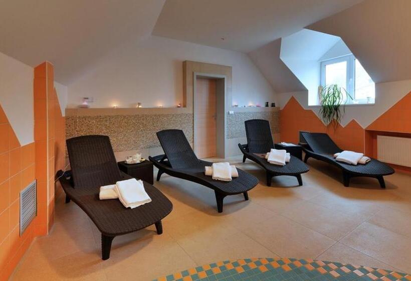 جناح ديلوكس, Wellness Penzion Kroměříž Zlobice