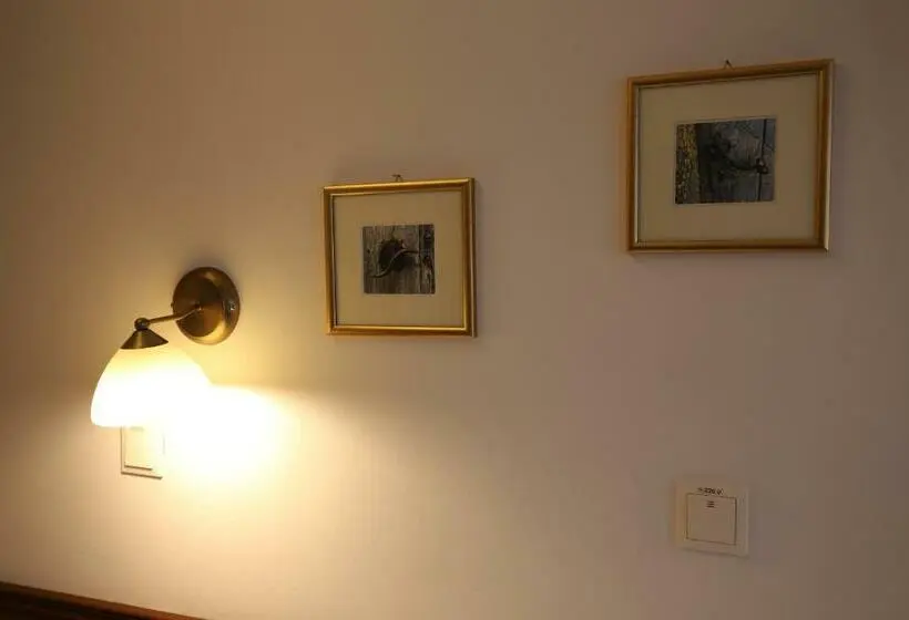 スタンダードルーム, Pension Ferdinand Panzio