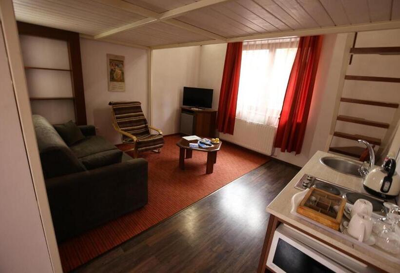 标准工作室, Pension Ferdinand Panzio