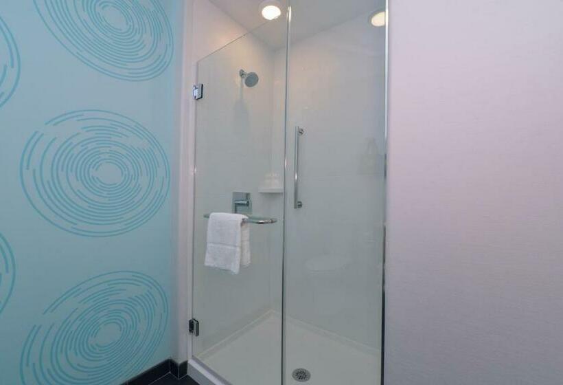 غرفة قياسية سرير كينج, Tru By Hilton Coppell Dfw Airport North