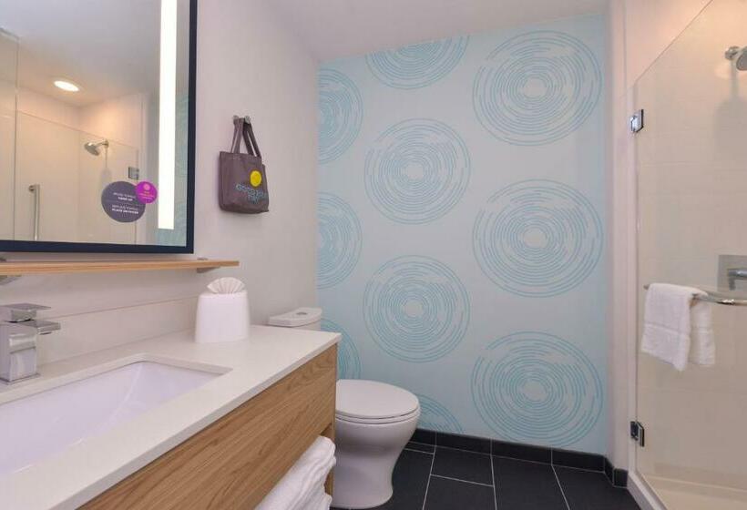 غرفة قياسية, Tru By Hilton Coppell Dfw Airport North