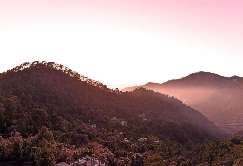חדר סטנדרט, Green Roof
