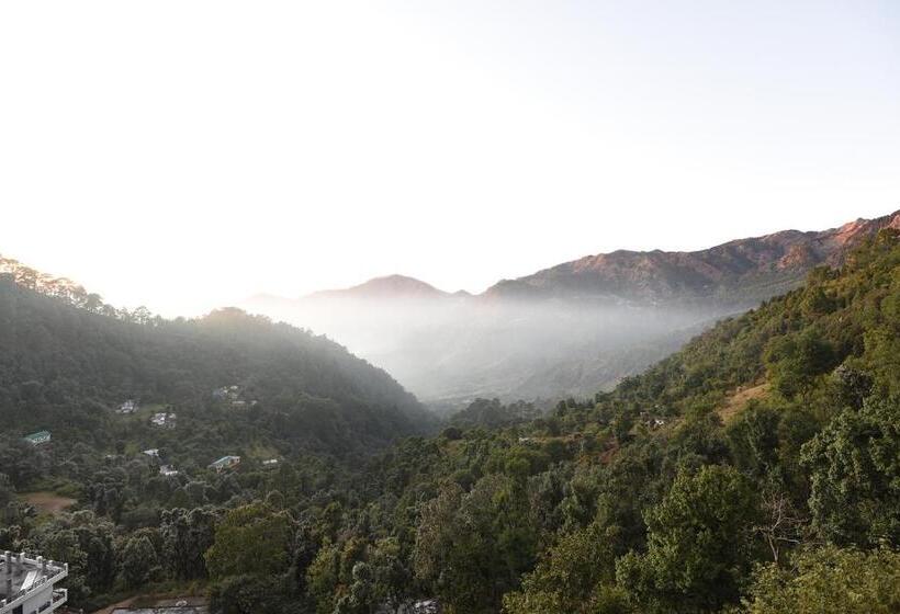 חדר סטנדרט, Green Roof