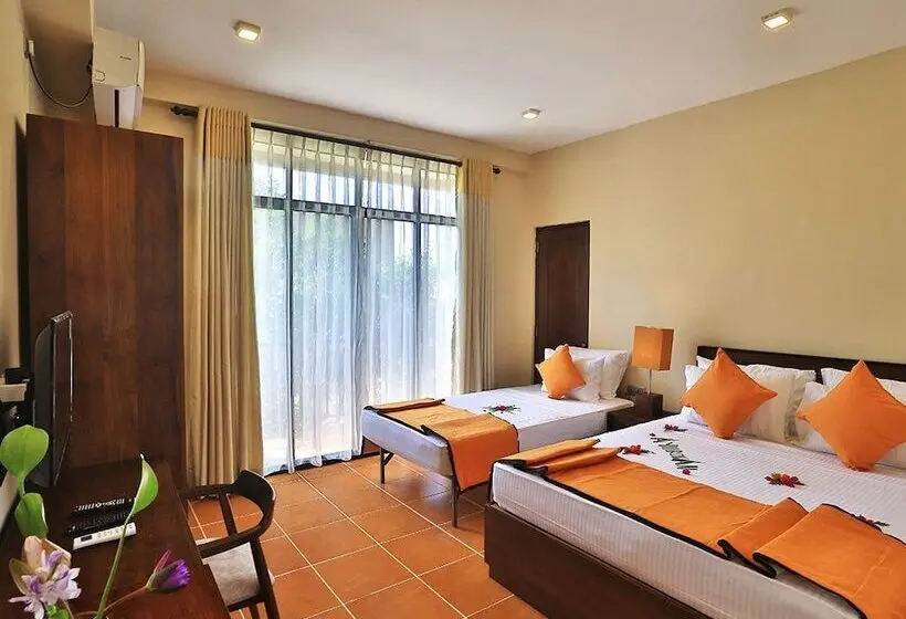 Deluxe-huone, Lily S Resort