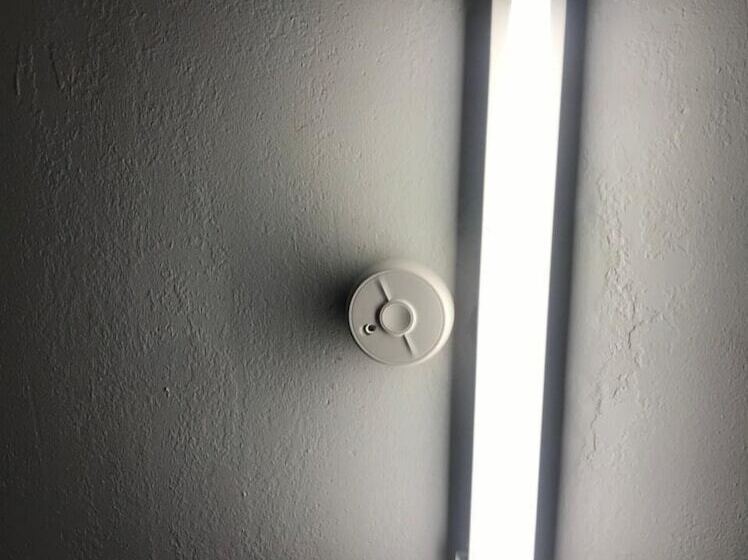 اتاق استاندارد چهار تخته, Midnight