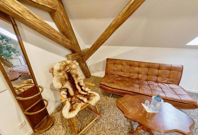 غرفة قياسية, Alte Pension Bautzen