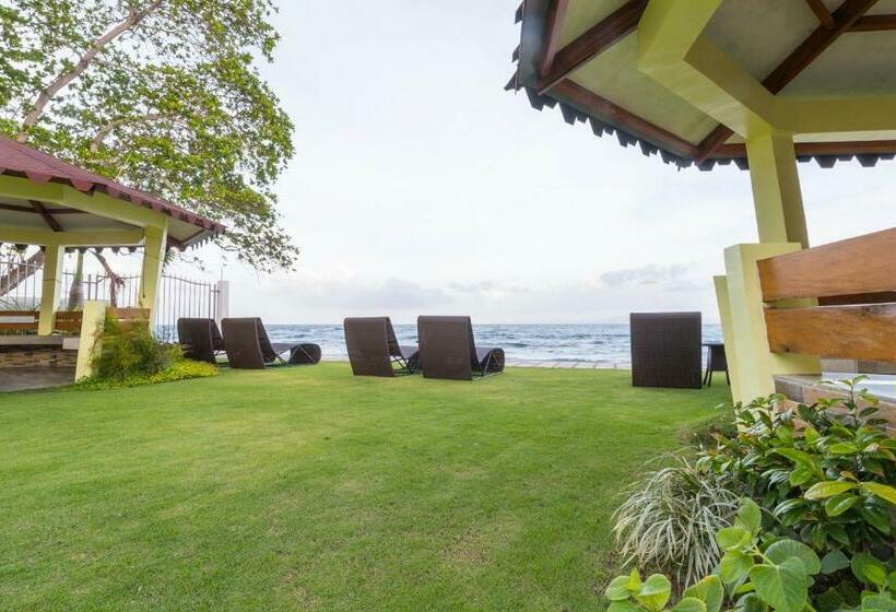 آپارتمان 1 خوابه با چشمانداز دریا, 71% Diving Resort