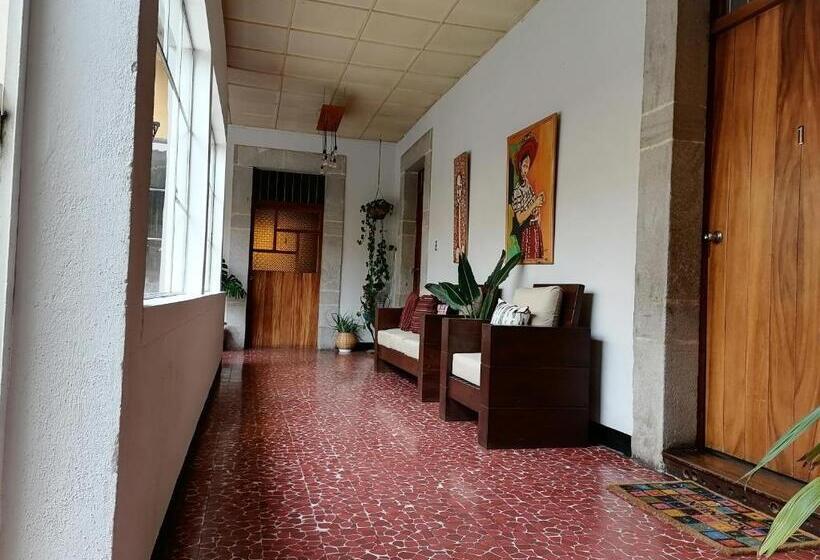 اتاق لوکس خانوادگی, Muchá