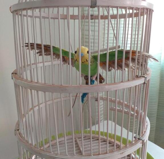 标准间, Villa Ekegården