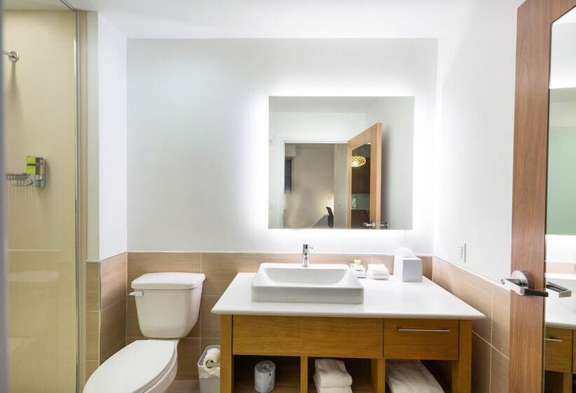 Standard Studio, Element Austin Round Rock