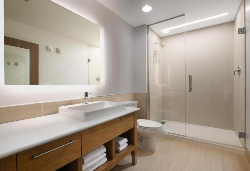 Standard Værelse King Size Seng, Element Austin Round Rock