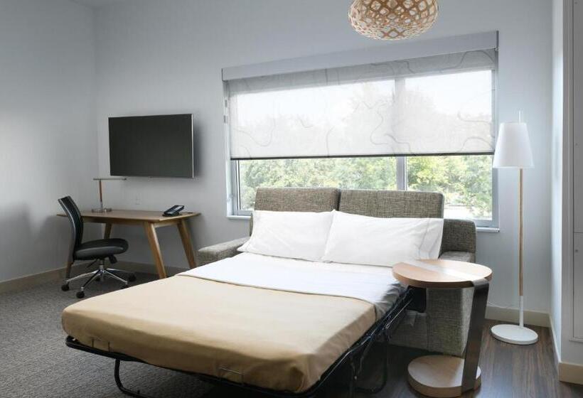 Suite King Size Seng, Element Austin Round Rock