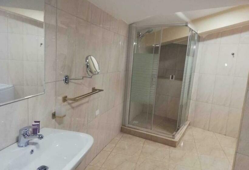 اتاق استاندارد یک نفره, Shami Plaza