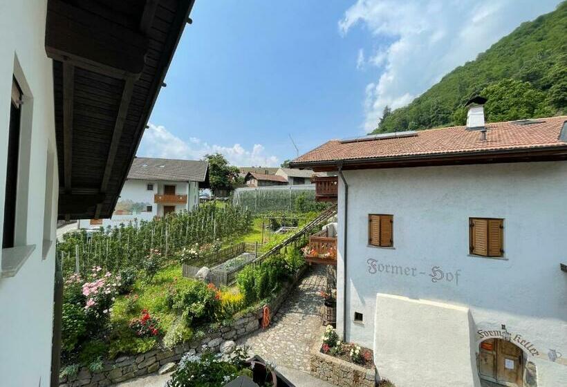 Номер Стандарт с Балконом, Garni Hotel Farmerhof