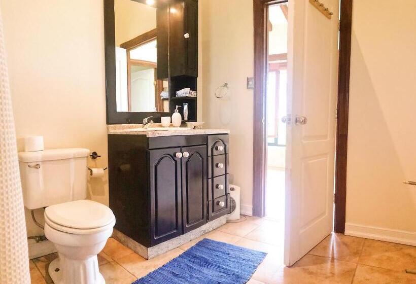 Номер Стандарт с Террасой, South Landing Inn