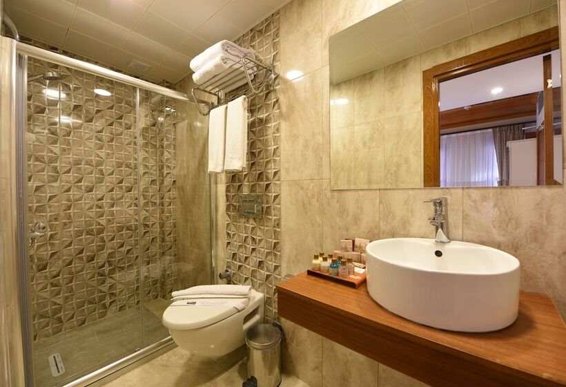 スタンダードルーム, Elyka