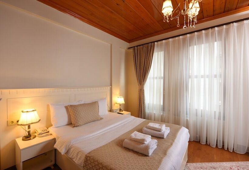 スタンダードルーム, Elyka