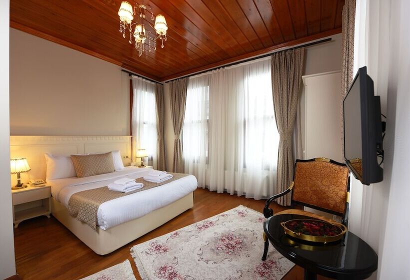 スタンダードルーム, Elyka