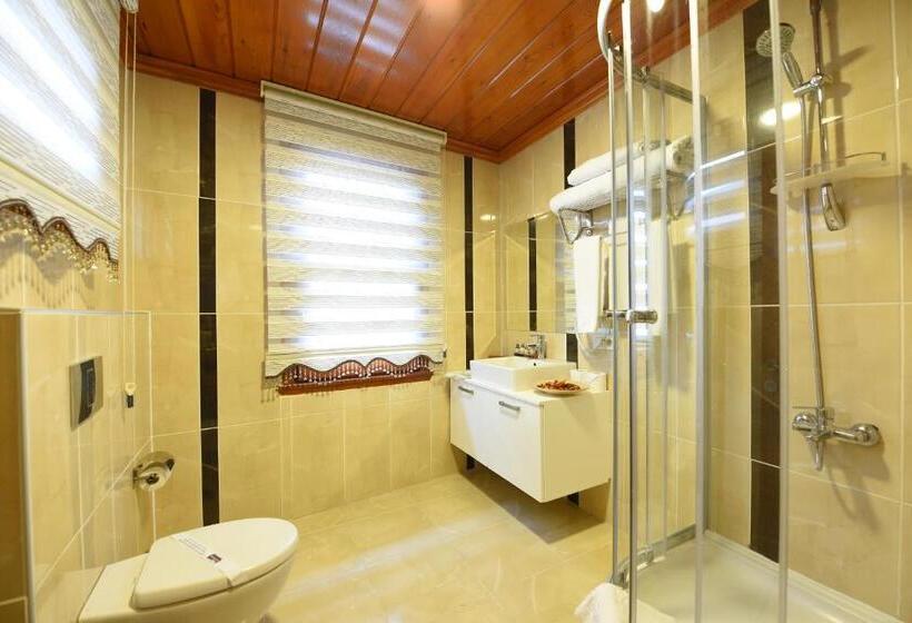 スイート（家族用）, Elyka