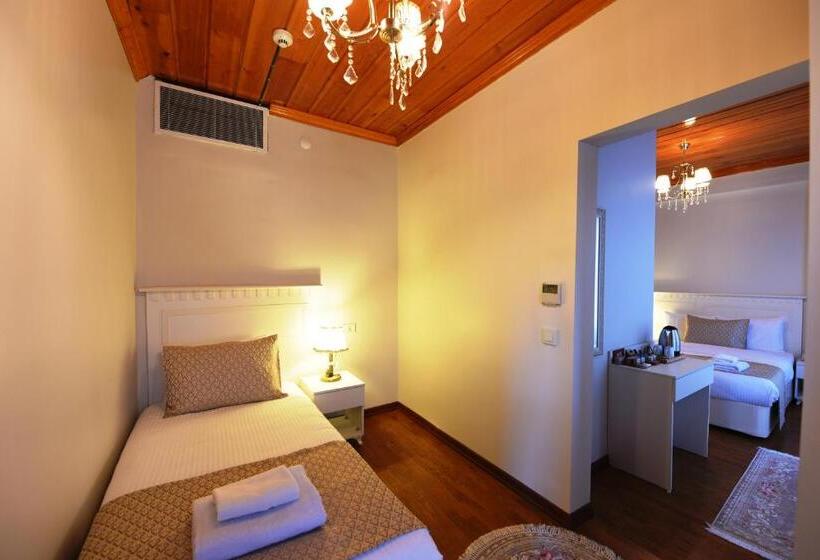 スタンダードルーム, Elyka