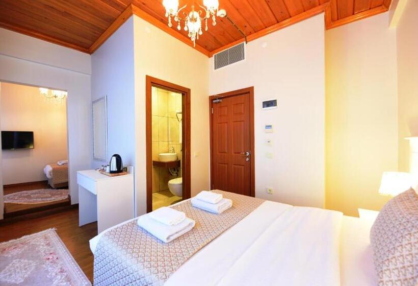 スタンダードルーム, Elyka