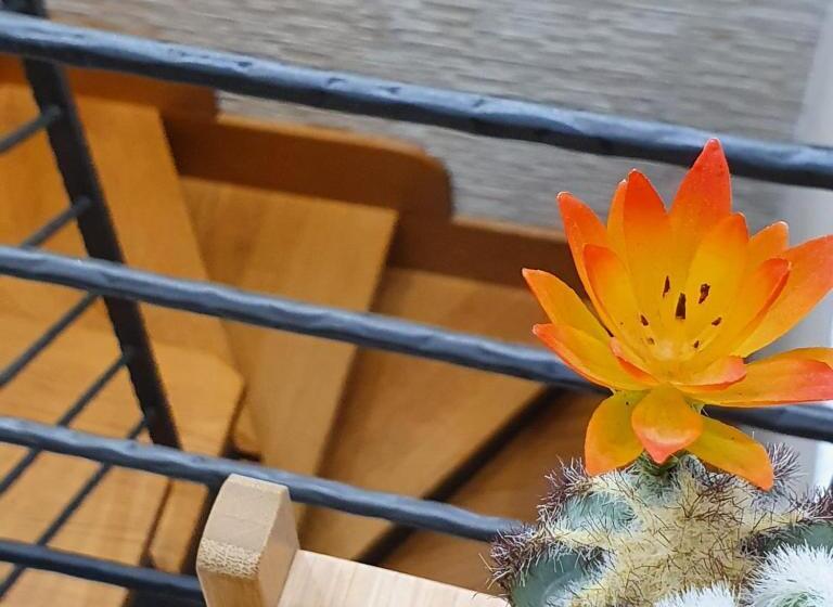 اتاق لوکس با بالکن, Vittoria Guest House Salerno