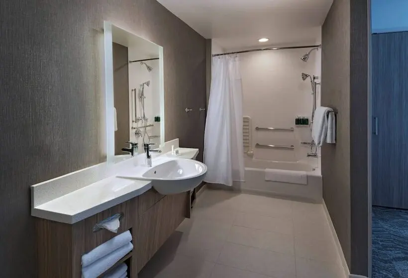 身障者適用スイートルーム, Springhill Suites By Marriott Denver West/golden