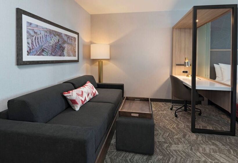 适合残疾人士使用的套间, Springhill Suites By Marriott Denver West/golden