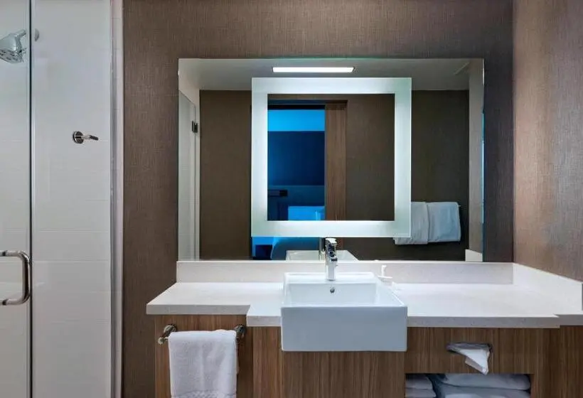 キングサイズベッドのスイートルーム, Springhill Suites By Marriott Denver West/golden