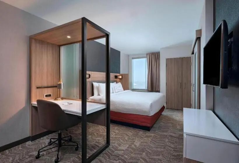 キングサイズベッドのスイートルーム, Springhill Suites By Marriott Denver West/golden