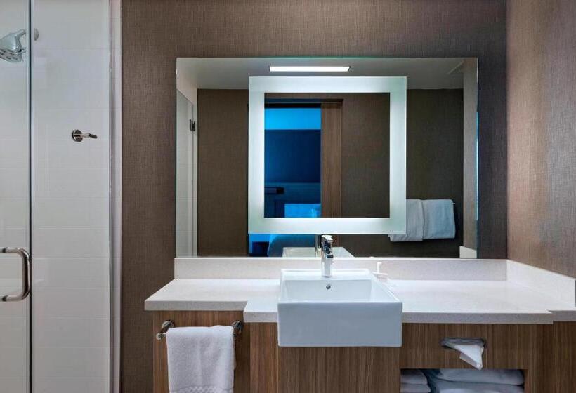 סוויטה, Springhill Suites By Marriott Denver West/golden