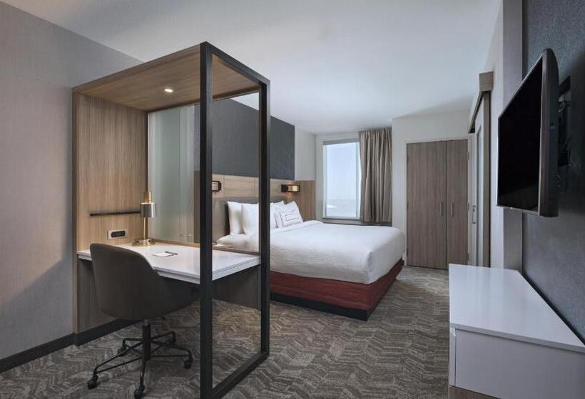 带大床的套房, Springhill Suites By Marriott Denver West/golden