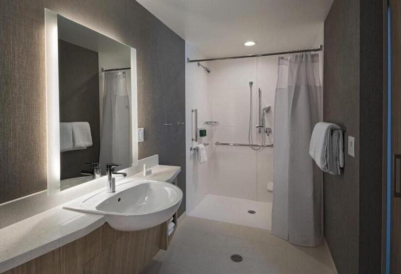 带大床的套房, Springhill Suites By Marriott Denver West/golden