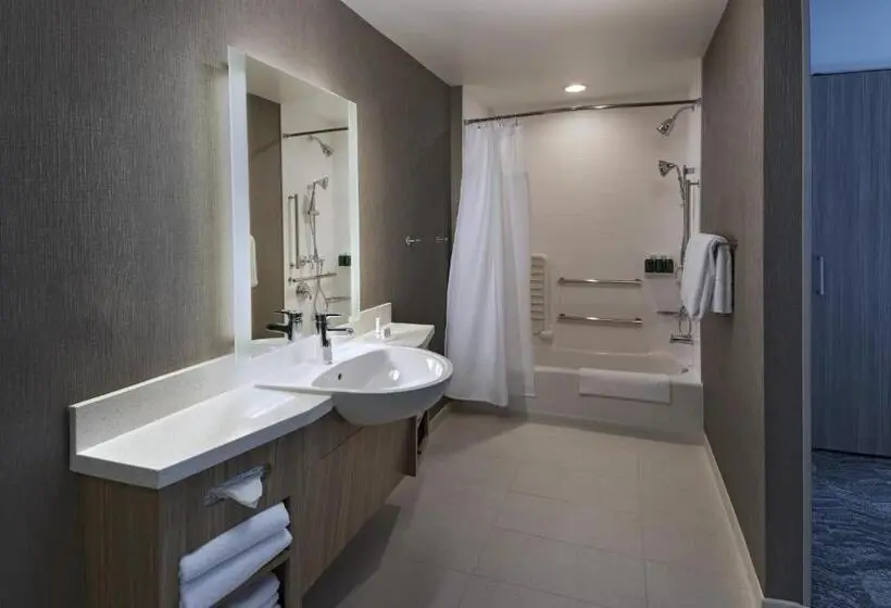 クイーンサイズベッドのスイートルーム, Springhill Suites By Marriott Denver West/golden