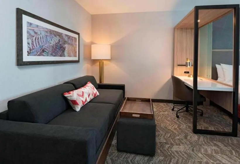 クイーンサイズベッドのスイートルーム, Springhill Suites By Marriott Denver West/golden