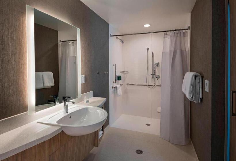 适合残疾人士使用的套间, Springhill Suites By Marriott Denver West/golden