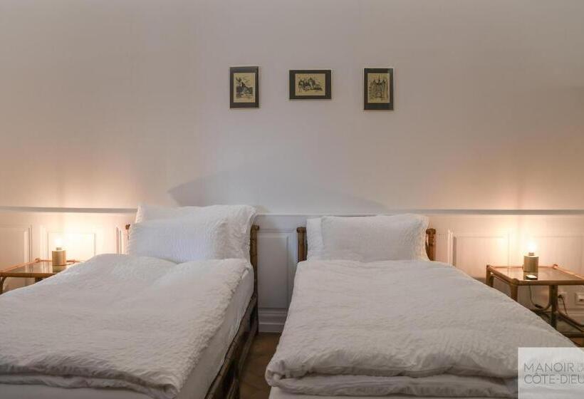 חדר סטנדרט, Manoir De La Côte Dieu